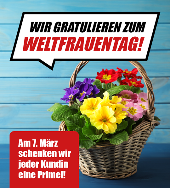 Blumenkorb mit bunten Primeln vor blauem Holzhintergrund, dazu der Hinweis: „Wir gratulieren zum Weltfrauentag. Am 7. März schenken wir jeder Kundin eine Primel.“