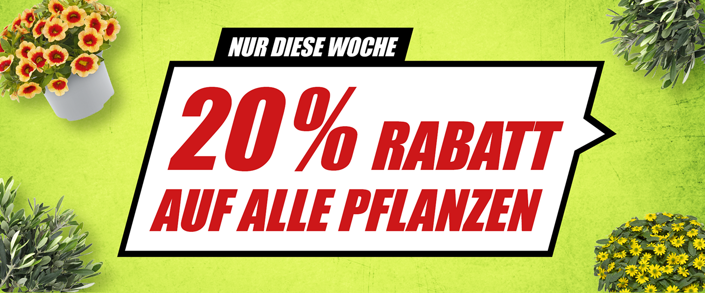Nur diese Wohe 20% Rabatt auf alle Pflanzen