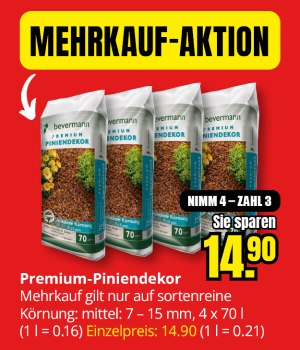 B1 B1Discount Baumarkt