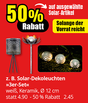 Deko-Leuchten mit Solar. 3 Stück im Set. Weiß, aus Keramik, 12 cm groß. Jetzt nur 2,45 Euro statt 4,90 Euro. 50 Prozent Rabatt.