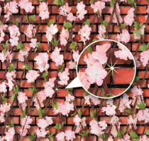 Solar-Deko-Spalier »Blumen«