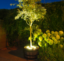 Solar-Baumbeleuchtung
