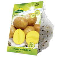 Pflanzkartoffeln