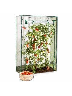 Tomaten-Gewächshaus