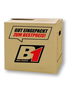 Umzugskarton