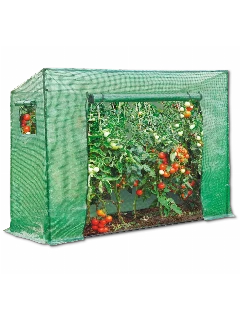 Tomaten-Gewächshaus